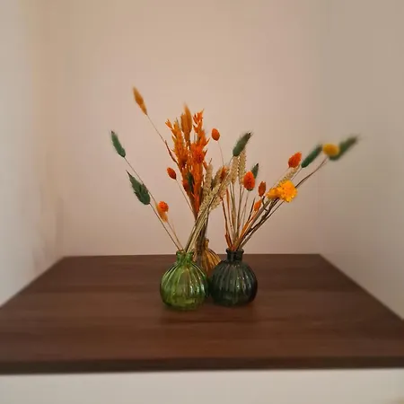 Studio-r *