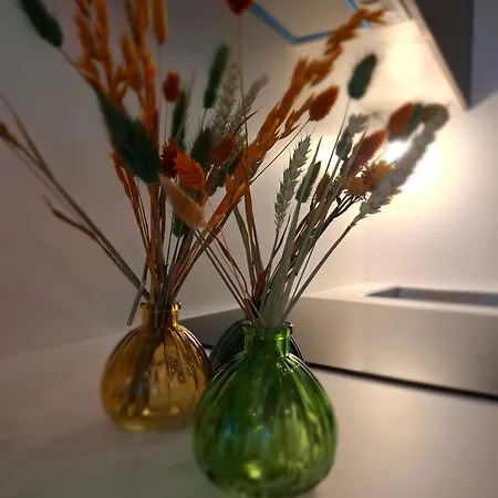 Appartement Studio-r